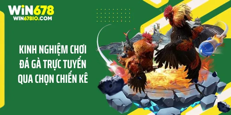 Kinh Nghiệm Chơi Đá Gà Trực Tuyến Nhanh Thắng Tại WIN678 Kinh nghiệm chơi đá gà trực tuyến qua chọn chiến kê