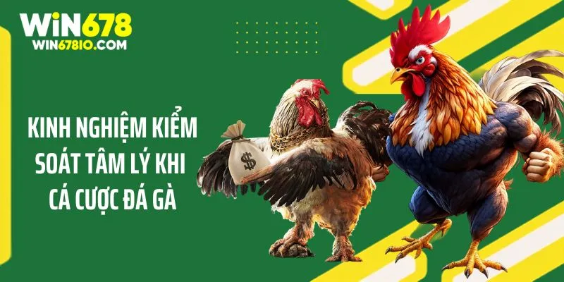 Kinh Nghiệm Chơi Đá Gà Trực Tuyến Nhanh Thắng Tại WIN678 Kinh nghiệm kiểm soát tâm lý khi cá cược đá gà