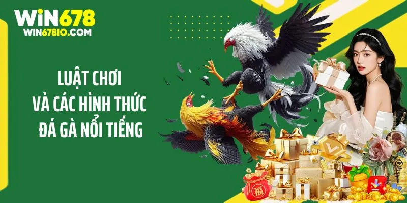 Kinh Nghiệm Chơi Đá Gà Trực Tuyến Nhanh Thắng Tại WIN678 Luật chơi và các hình thức đá gà nổi tiếng